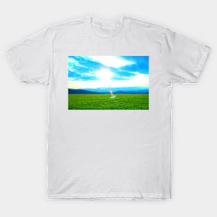 View near Piani di Ragnolo at grass, mountains and sky T-Shirt